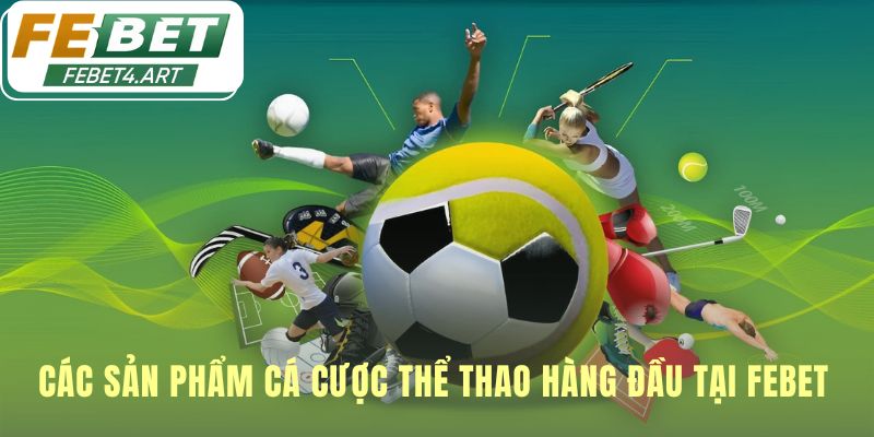 Danh mục sản phẩm thể thao phong phú từ bóng đá tới game bài