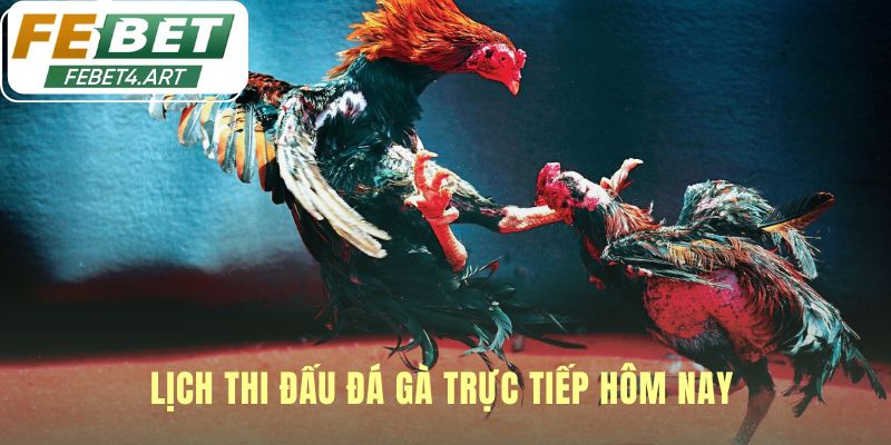 Lịch thi đấu cập nhật liên tục mỗi ngày không bỏ lỡ trận hay