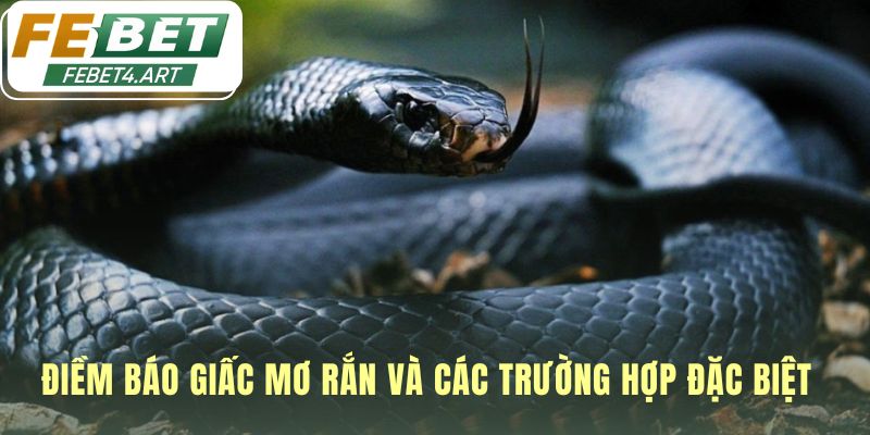 Các kịch bản hiếm gặp ẩn chứa điềm báo và con số may mắn