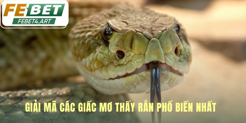 Từng chi tiết giấc mơ hé lộ con số tài lộc chính xác