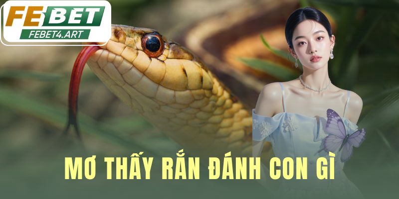 Mơ Thấy Rắn Đánh Con Gì